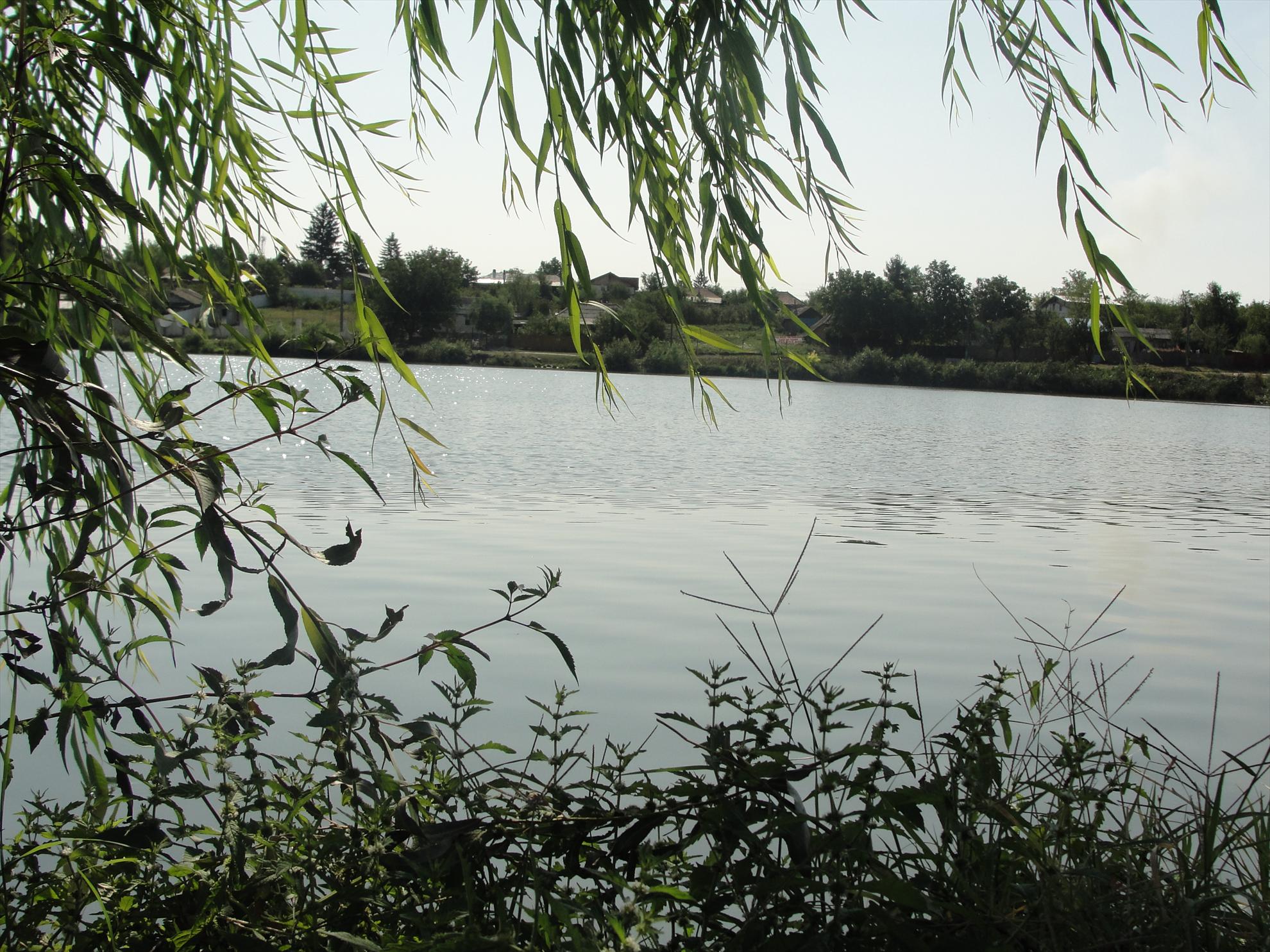 Moara Vlasiei 2 8 - 9 sep. - dsc07363.JPG